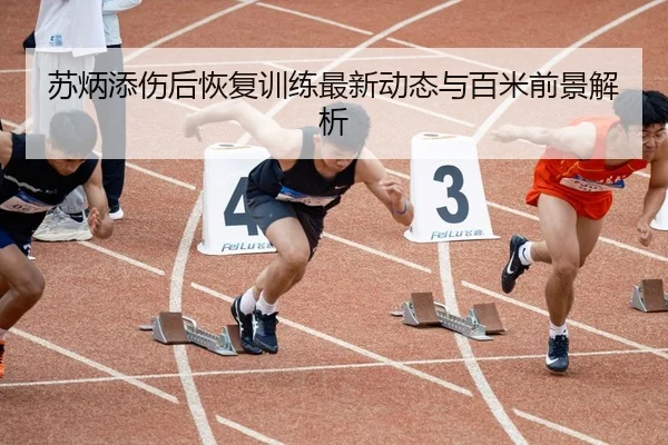 苏炳添伤后恢复训练最新动态与百米前景解析